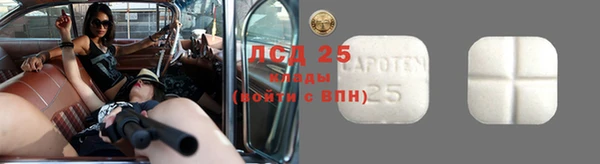 крисы Лагань