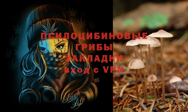 2c-b Медвежьегорск