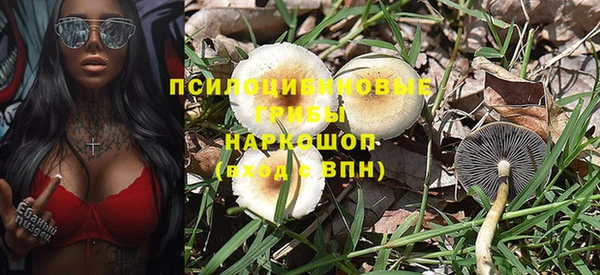 2c-b Медвежьегорск
