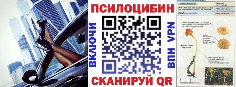 Галлюциногенные грибы Psilocybine cubensis  Ленинградская 
